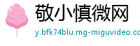 敬小慎微网